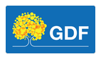Governo do Distrito Federal